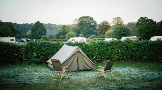 A tranquil, well-appointed campsite pitch bordered by a thick green hedge, with a tent and camping chairs arranged in warm early morning light, symbolizing comfort and privacy in campsite selection.